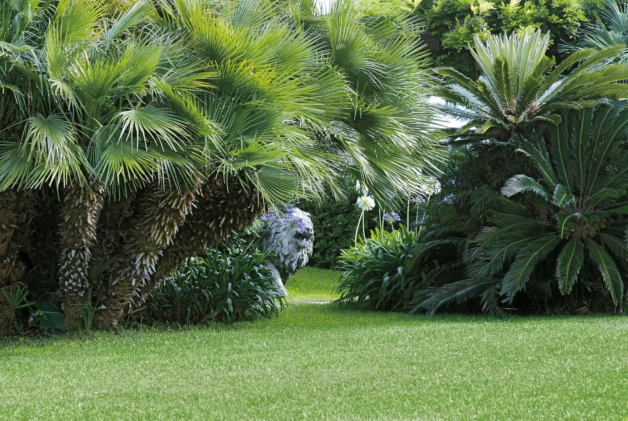 Grand Hotel Del Mare Resort & Spa Bordighera Esterno foto